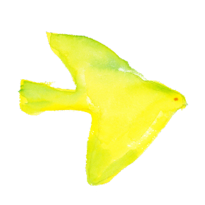 鳥